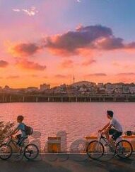 糖心vlog入口网页版-糖心vlog，解锁网页版入口的精彩之旅
